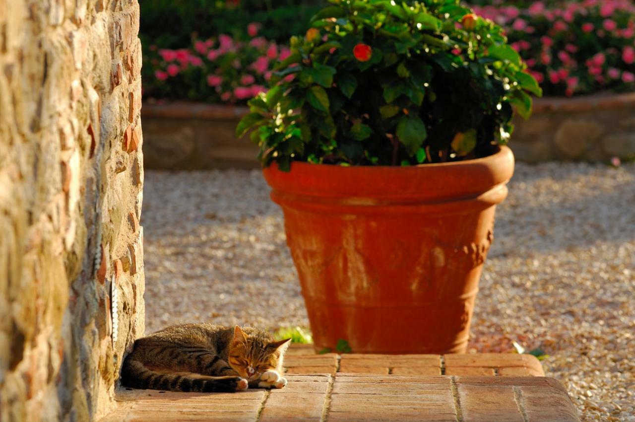 Relais Borgo Torale Hotel Passignano sul Trasimeno Bagian luar foto